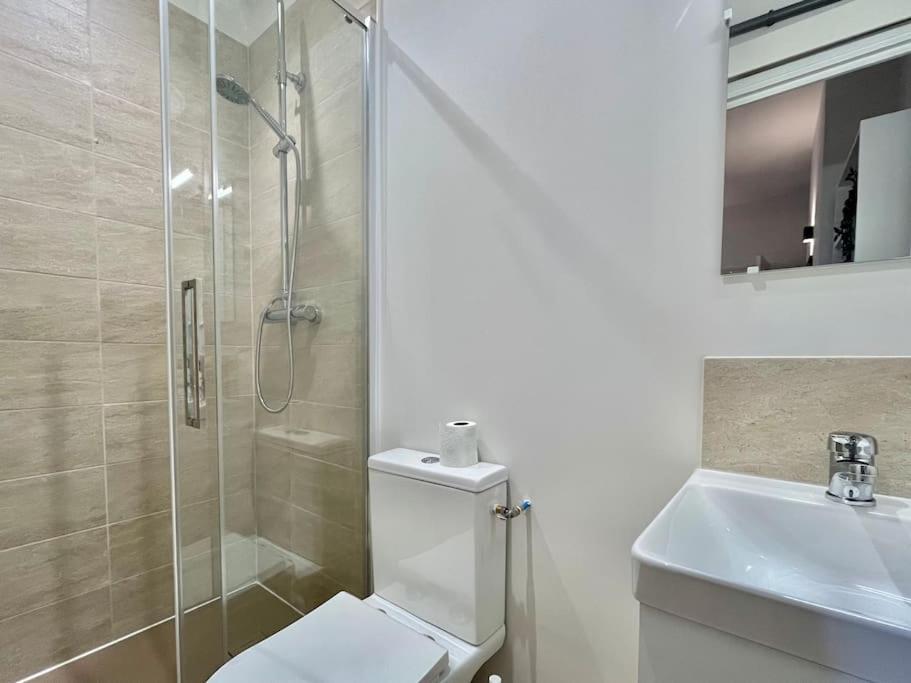 Le Printemps * Bel Appartement Climatise * Hypercentre Toulouse Kültér fotó